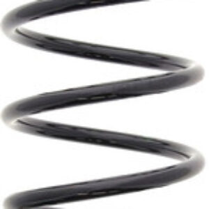 Пружина подвески RA3754 21век