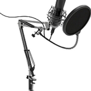 Микрофон RDM-180 21век