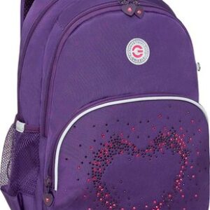 Школьный рюкзак RG-560-3 21век