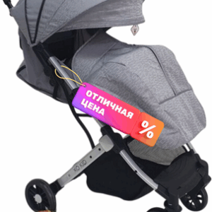 Детская прогулочная коляска Ride Silver 21век