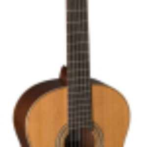 Акустическая гитара Rubi C 21век