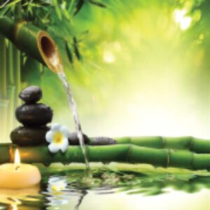 Шторка-занавеска для ванны Бамбуковый кран / sc_7709 21век