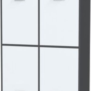 Шкаф Skill-20 (4) 21век