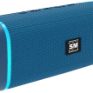 Портативная колонка SM-PS5019B 21век