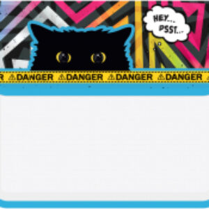 Папка для тетрадей Spy Cat / ПТ-95_48912 21век