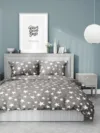 Комплект постельного белья Stars Grey 2сп 21век