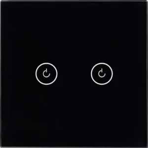 Выключатель SWT-OMALI-S02-ZB-BK / 050040 21век