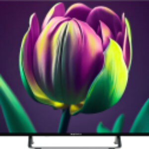 Телевизор 43" TDTV43CS06UBK 21век