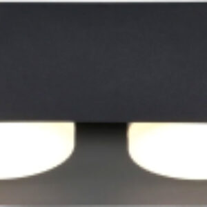 Точечный светильник Techno Spot TN70821/2 BK 21век