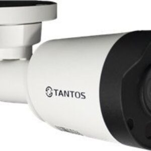 IP-камера TSi-Pe25FP 21век