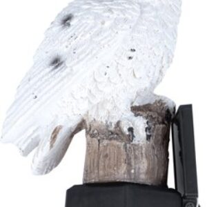 Светильник уличный USL-S-823/PM290 / UL-00011596 21век