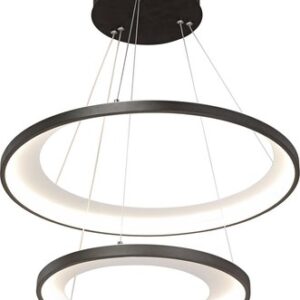 Потолочный светильник V2695-1/2S 21век