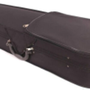 Кейс для альта VAC-300 21век