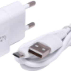 Зарядное устройство сетевое WC-121 с кабелем MicroUSB 21век