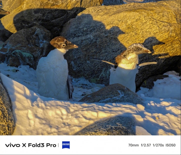 Vivo X Fold 3 Pro испытали в AnTuTu и Антарктике: примеры фото