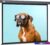 Проекционный экран CACTUS Wallscreen 149×265 CS-PSW-149X265-SG