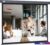Проекционный экран CACTUS Wallscreen 127×127 CS-PSW-127X127-SG