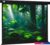 Проекционный экран CACTUS Wallscreen 213×213 CS-PSW-213X213-BK