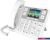 IP-телефон Fanvil X305 (белый)