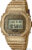 Наручные часы со сменной частью Casio G-Shock DWE-5600HG-1E