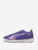 Полуботинки спортивные детские Puma, Фиолетовый