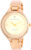 Часы наручные женские, Anne Klein 1410CHGB