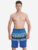 Шорты мужские Speedo, Синий