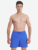 Шорты мужские Speedo, Синий
