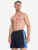 Шорты мужские Speedo, Синий