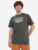Футболка мужская Quiksilver, Серый