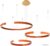 Подвесная люстра LOFT IT Ring 10025/3 Orange
