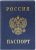 Обложка на паспорт, DPS Россия / 2203.В-101