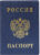 Обложка на паспорт, DPS Россия / 2203.В-101