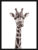 Картина, Мирам Животные. Любознательный жираф / 240501502