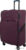 Чемодан-спиннер Francesco Molinary 111-22039W/3-28PRP (фиолетовый)