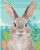 Картина по номерам Школа талантов Кролик в поле 7990297
