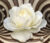 Фотообои листовые, Citydecor Абстракция 35