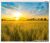 Проекционный экран Lumien Eco Picture 178×280 LEP-100124