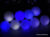 Новогодняя гирлянда Luazon Метраж Шарики Led-100 (10 м, белый/синий) [1080045]