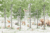 Фотообои листовые, Citydecor Детская 471