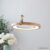 Подвесная люстра Home Light D259-1
