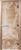 Стеклянная дверь для бани/сауны, Doorwood Мишки 80×200 / DW00935