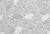 Мини рулонные шторы Delfa Сантайм Глория СРШ-01М 2403 57×170 (лавр)