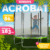 Батут, Sundays Acrobat-D183