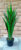 Искусственное растение, ForGarden Дерево Agave Tree / FGN BF00579