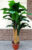 Искусственное растение, ForGarden Дерево Banana Tree 210cm / FGN BF01710