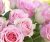 Фотообои листовые, Citydecor Розовые розы