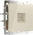 Розетка, Werkel Ethernet RJ-45 / W1181003