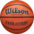 Баскетбольный мяч, Wilson Evolution / WTB0586XBEMEA
