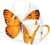 Чашка с блюдцем, Taitu Freedom Butterfly 1-891-D